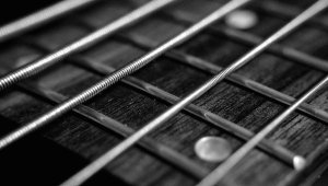 Image of Livingston Taylor